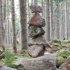 Wald um die Sommerecke Wald um die Sommerecke