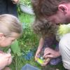 Der Natur auf der Spur: unsere kleinen "Umwelt-Detektive", die Kindergruppe der NaturFreunde Göttingen
