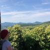 Blick auf pfälzer Landschaft